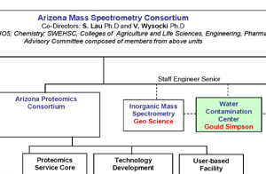 link to full organizational chart